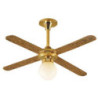 Ceiling Lamp W/Lights