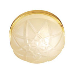 Frosted Ceiling Lamp