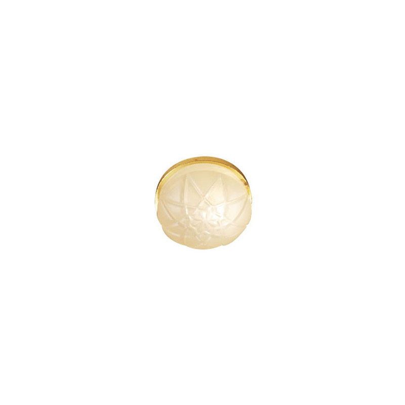 Frosted Ceiling Lamp