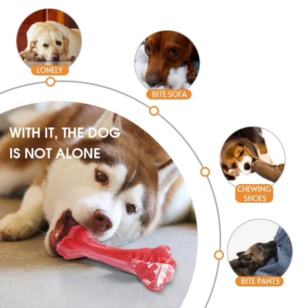 Pet Dog Bone Chew Toy for Chewers Treat Dispensing Durable Rubber Toothbrush Cleaning Toy Puppy Chewing Supplies Dog Accessories - Image 5