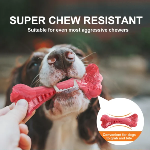 Pet Dog Bone Chew Toy for Chewers Treat Dispensing Durable Rubber Toothbrush Cleaning Toy Puppy Chewing Supplies Dog Accessories - Image 13