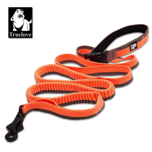 Truelove Dog Running Bungee Leash Hand-held Waistworn Adjustable Nylon Elastic Retractable Dog Leads for Running Jogging Walking - Image 7