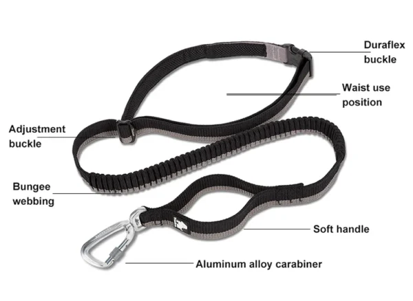 Truelove Dog Running Bungee Leash Hand-held Waistworn Adjustable Nylon Elastic Retractable Dog Leads for Running Jogging Walking - Image 11