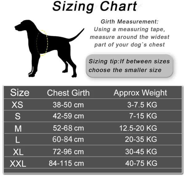 Reflective Breathable Adjustable  Dog Harness Vest ID Patch Customized Pet Harness For Dog Pet Outdoor Harness - Image 26