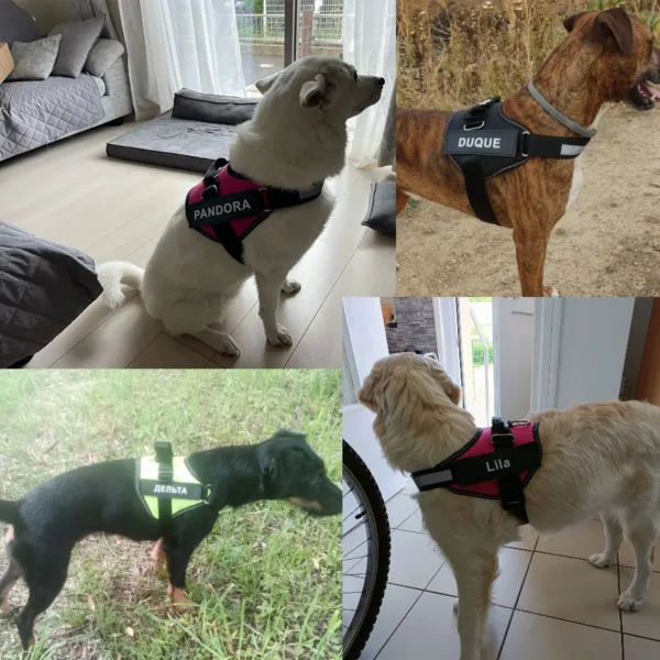 Reflective Breathable Adjustable  Dog Harness Vest ID Patch Customized Pet Harness For Dog Pet Outdoor Harness - Image 20